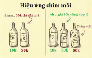 Ví dụ hiệu ứng chim mồi