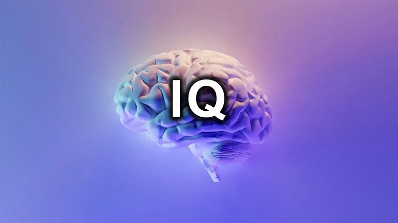 10 đặc điểm của trẻ thông minh IQ cao: Nếu con bạn sở hữu các đặc điểm này,  có lẽ sẽ là thiên tài - BlogAnChoi