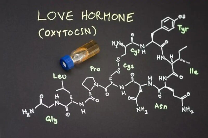 Oxytocin - kháng sinh tự nhiên của Stress