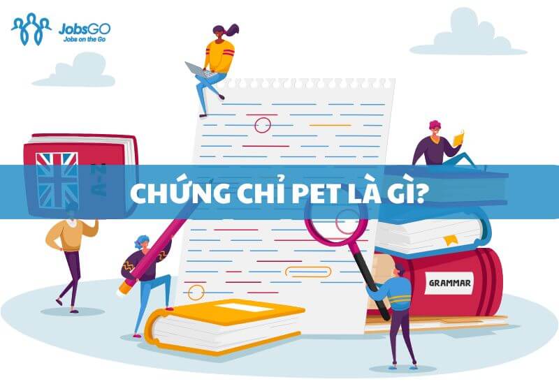 chứng chỉ pet là gì