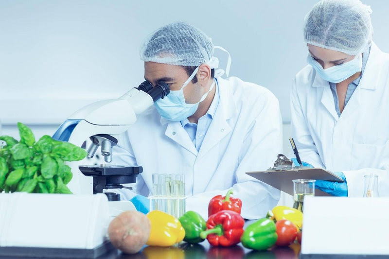 Tìm hiểu kỹ sư công nghệ thực phẩm là gì?