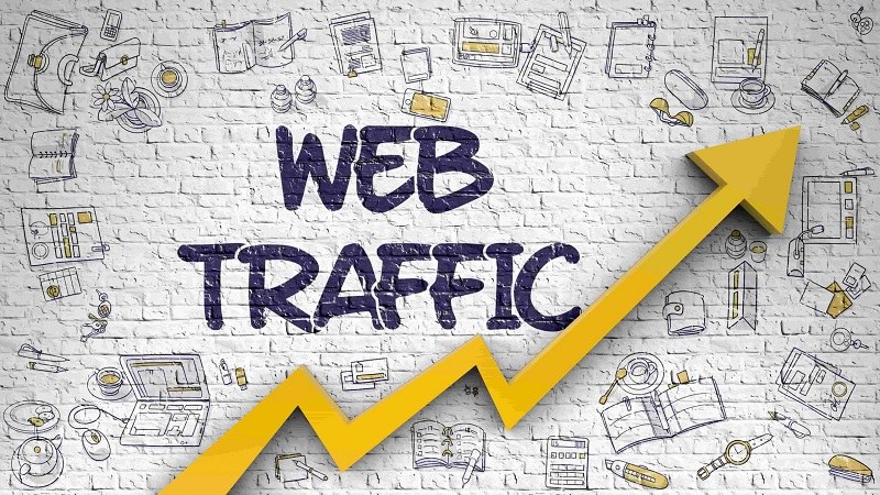 Lượng truy cập Organic Traffic trên các trang Web