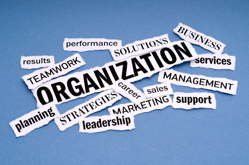 Tổ chức là gì? Chức năng của tổ chức trong doanh nghiệp