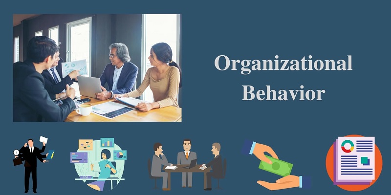 Các yếu tố của hành vi tổ chức