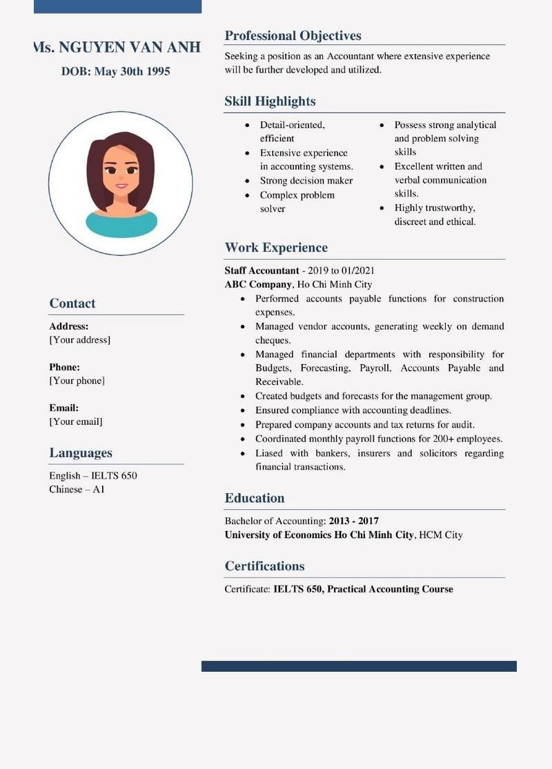 cv english