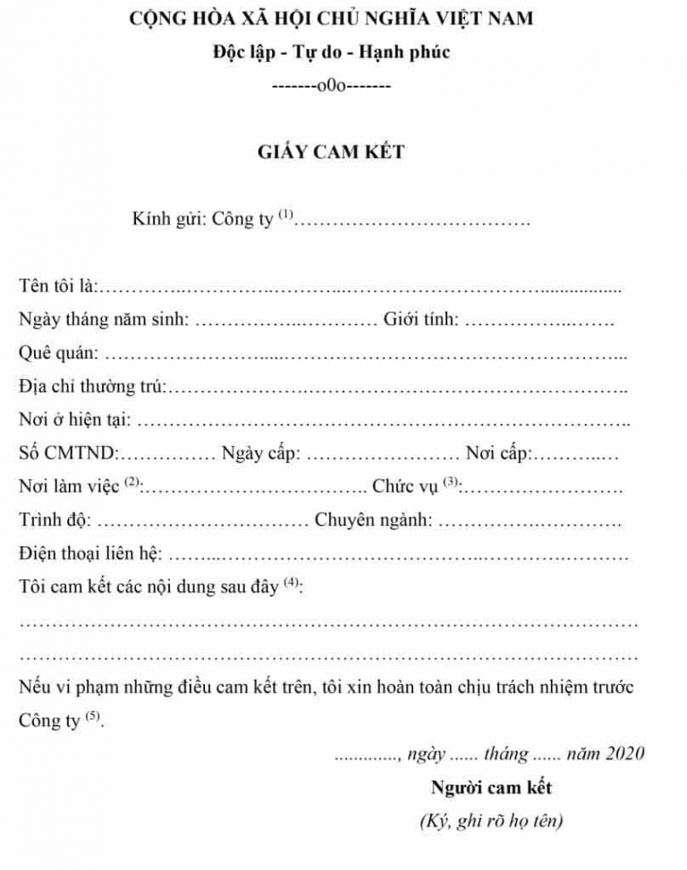 C ch vi t b n cam k t theo m u m i nh t 2022 jobsgo blog
