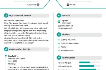 Top 10 Phần Mềm Tạo CV Chuyên Nghiệp Và Độc Đáo Nhất