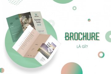 Brochure là gì? Cách thiết kế Brochure ấn tượng, chuyên nghiệp