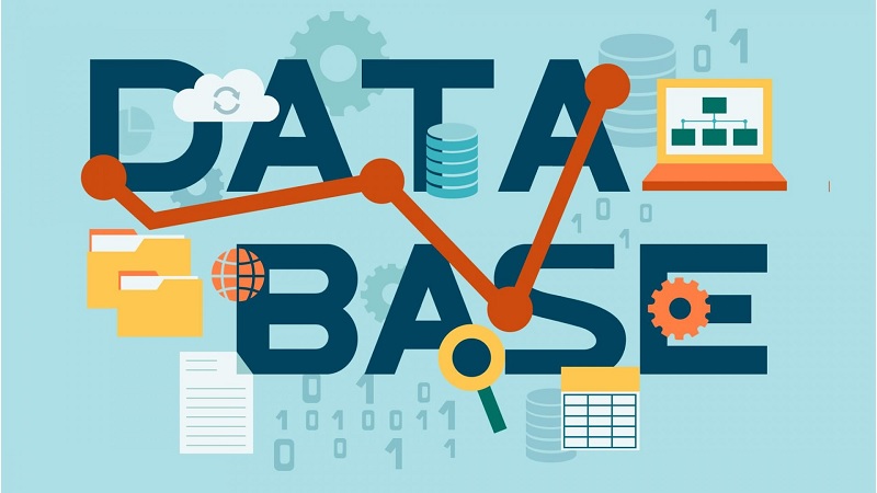 các kiểu database