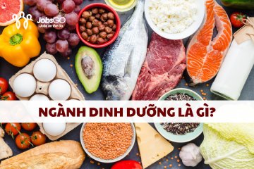 Học Dinh Dưỡng Ra Làm Gì? Mở Cánh Cửa Sự Nghiệp Đầy Tiềm Năng