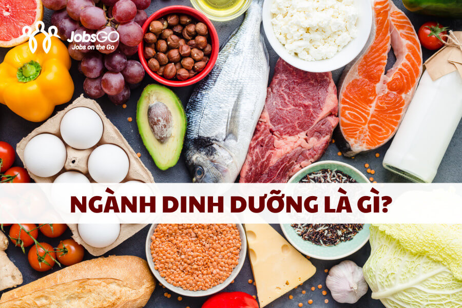 học dinh dưỡng ra làm gì