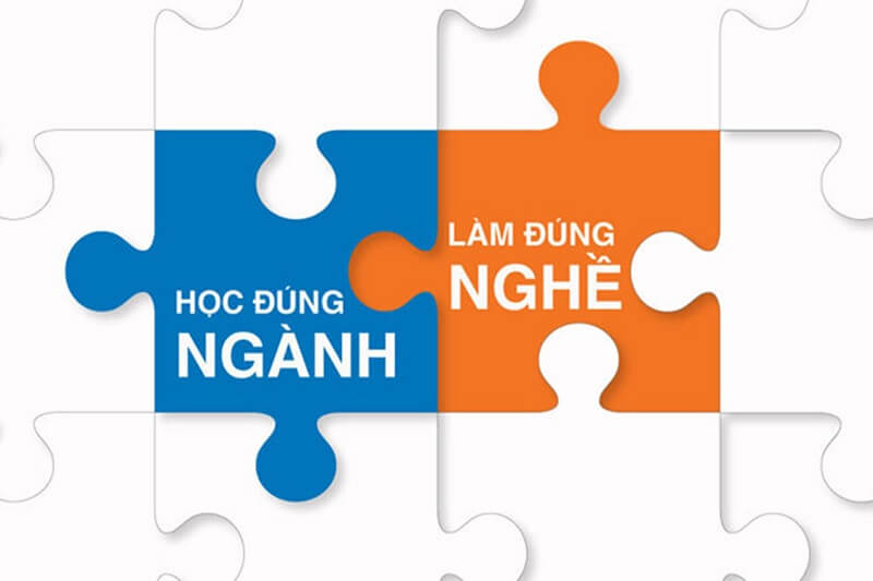 Nguyên tắc và các bước chọn ngành nghề