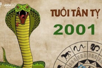 2001 Mệnh Gì? Tất Tần Tật Thông Tin Về Những Người Sinh Năm 2001