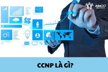 CCNP Là Gì? Tại Sao CCNP Quan Trọng Trong Sự Nghiệp IT?