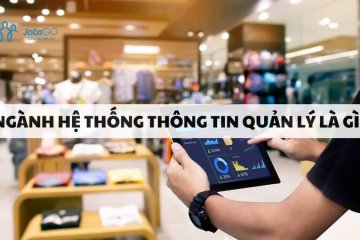 học hệ thống thông tin quản lý ra làm gì