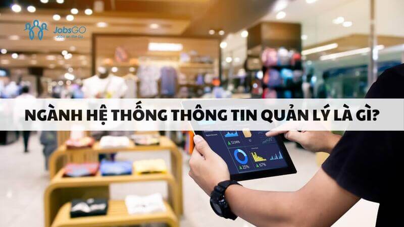 học hệ thống thông tin quản lý ra làm gì