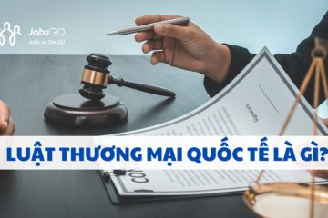 Học Luật Thương Mại Quốc Tế Ra Làm Gì? Khởi Đầu Hoàn Hảo Cho Sự Nghiệp Pháp Lý Quốc Tế