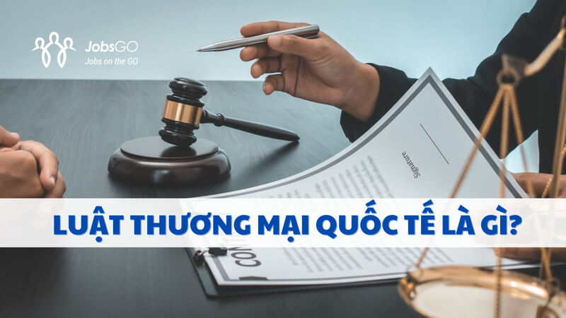 học luật thương mại quốc tế ra làm gì