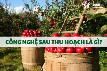 Công Nghệ Sau Thu Hoạch Là Gì? Tương Lai Cho Ngành Nông Nghiệp Việt