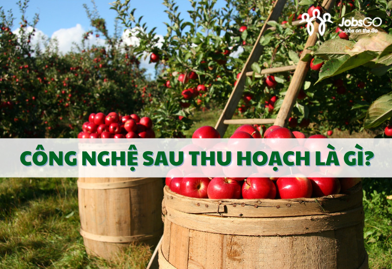 công nghệ sau thu hoạch là gì