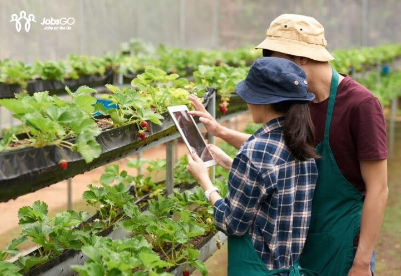 ngành nông học ra trường làm gì