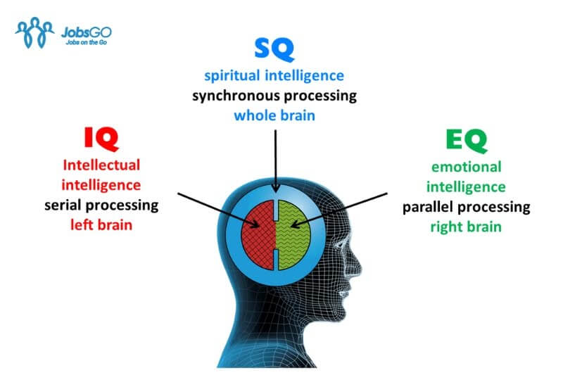 các chỉ số iq, eq, sq có ý nghĩa gì