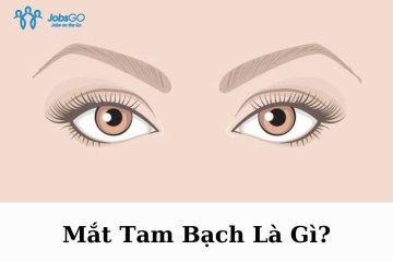 Mắt Tam Bạch: 5 Yếu Tố Hình Thành Mắt Tam Bạch