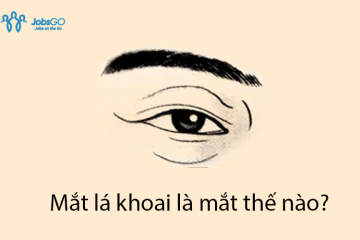 Mắt Lá Khoai Là Gì? Đặc Điểm Và 3 Cách Khắc Phục