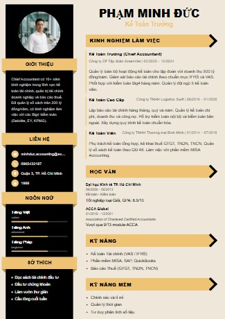 Mẫu CV Sáng Tạo 6