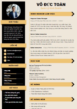 Mẫu CV Sáng Tạo 6