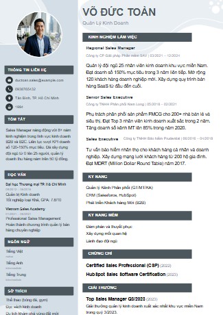 Mẫu CV Sáng Tạo 8