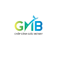 Công Ty Trách Nhiệm Hữu Hạn Dịch Vụ Nhân Lực Hàng Không Gmb