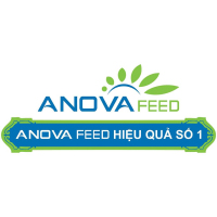 Công Ty CP Anova Feed