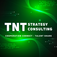 Công Ty TNHH Tnt Strategy Consulting