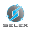 Công ty cổ phần phương tiện điện thông minh Selex