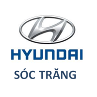 CÔNG TY TRÁCH NHIỆM HỮU HẠN Ô TÔ HYUNDAI MIỀN NAM
