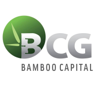 Công Ty Cổ Phần BCG Energy- Tập Đoàn Bamboo Capital