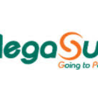 Công ty Cổ phần Mega Sun