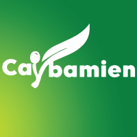 Cây Ba Miền – Caybamien.vn