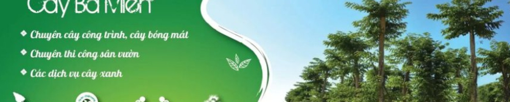 Cây Ba Miền – Caybamien.vn